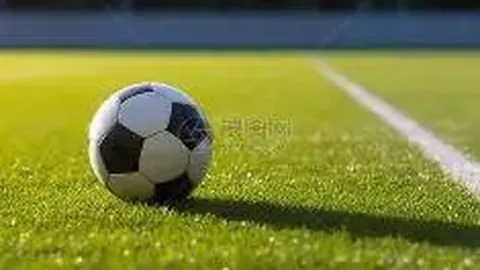 揭秘：国足11月或迎来“休整季”，暂停集训或成智慧之举？